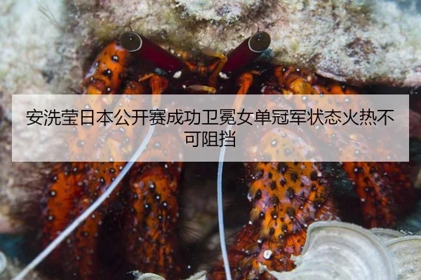 an-xi-ying-ri-ben-gong-kai-sai-cheng-gong-wei-mian-nv-dan-guan-jun-zhuang-tai-huo-re-bu-ke-zu-dang-2-634.jpg